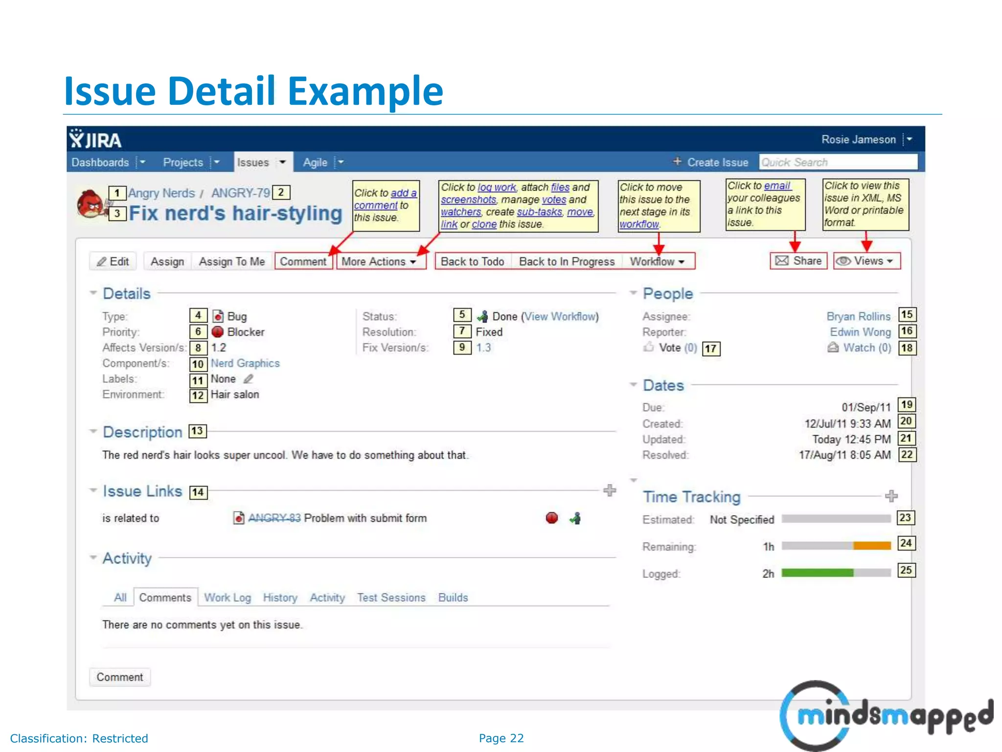 Page 22Classification: Restricted
Issue Detail Example
 