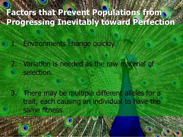 Why Does Natural Selection Not Result In Perfect Organisms Why Does Natural Selection Not Result In Perfect Organisms