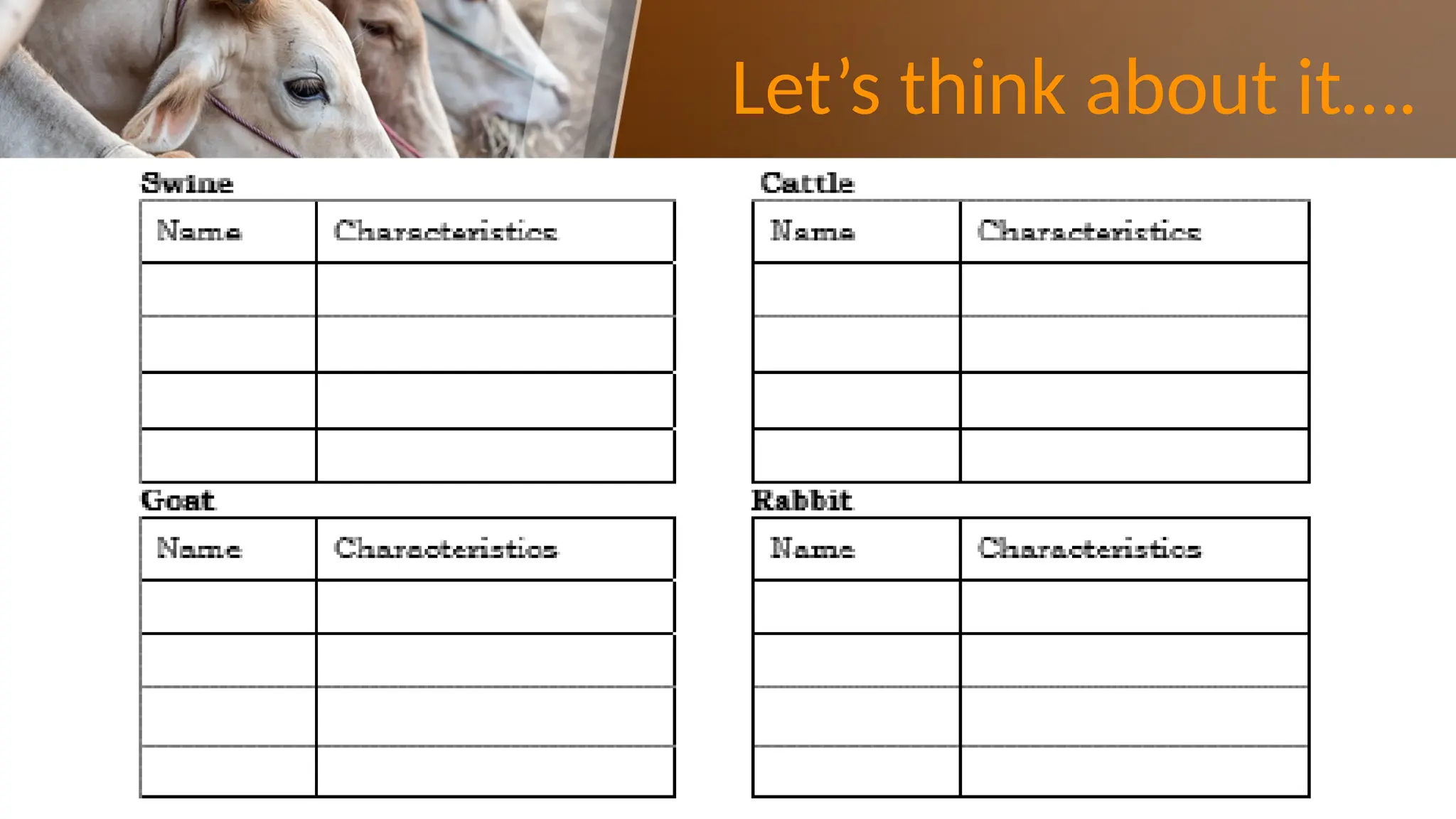 Day 17-20 (Breeds of Farm Animals Cattle, Swine, Goat, and Rabbit).pptx