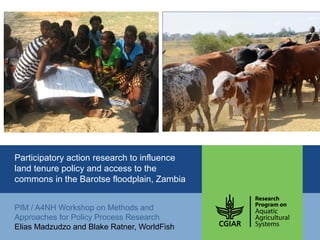 Participatory action research to influence
land tenure policy and access to the
commons in the Barotse floodplain, Zambia
PIM / A4NH Workshop on Methods and
Approaches for Policy Process Research
Elias Madzudzo and Blake Ratner, WorldFish

 