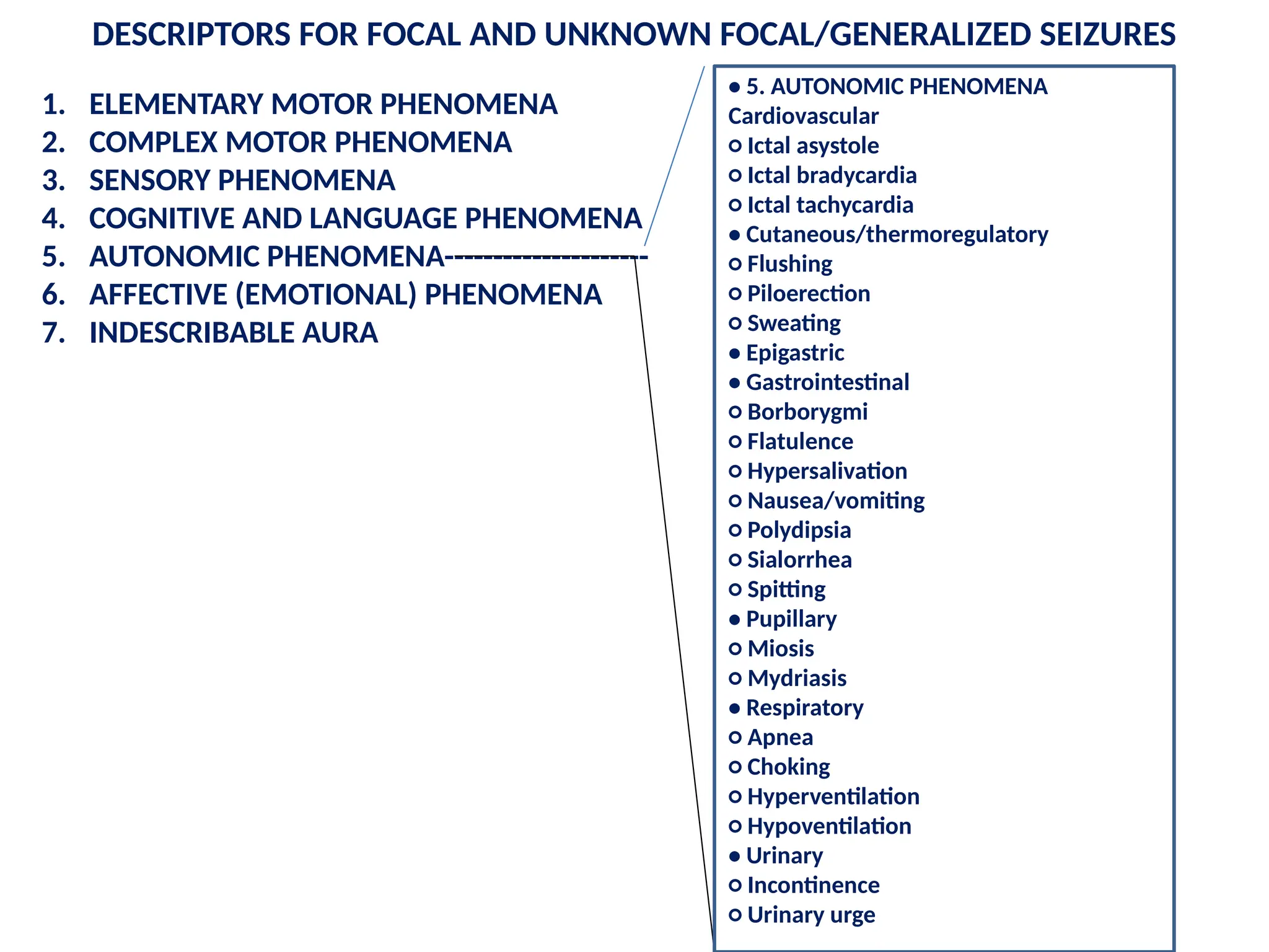 DESCRIPTORS FOR FOCAL AND UNKNOWN FOCAL/GENERALIZED SEIZURES
1. ELEMENTARY MOTOR PHENOMENA
2. COMPLEX MOTOR PHENOMENA
3. SENSORY PHENOMENA
4. COGNITIVE AND LANGUAGE PHENOMENA
5. AUTONOMIC PHENOMENA---------------------
6. AFFECTIVE (EMOTIONAL) PHENOMENA
7. INDESCRIBABLE AURA
• 5. AUTONOMIC PHENOMENA
Cardiovascular
○ Ictal asystole
○ Ictal bradycardia
○ Ictal tachycardia
• Cutaneous/thermoregulatory
○ Flushing
○ Piloerection
○ Sweating
• Epigastric
• Gastrointestinal
○ Borborygmi
○ Flatulence
○ Hypersalivation
○ Nausea/vomiting
○ Polydipsia
○ Sialorrhea
○ Spitting
• Pupillary
○ Miosis
○ Mydriasis
• Respiratory
○ Apnea
○ Choking
○ Hyperventilation
○ Hypoventilation
• Urinary
○ Incontinence
○ Urinary urge
 