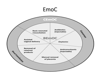 Presentation of student training in Bemoc level | PPTX