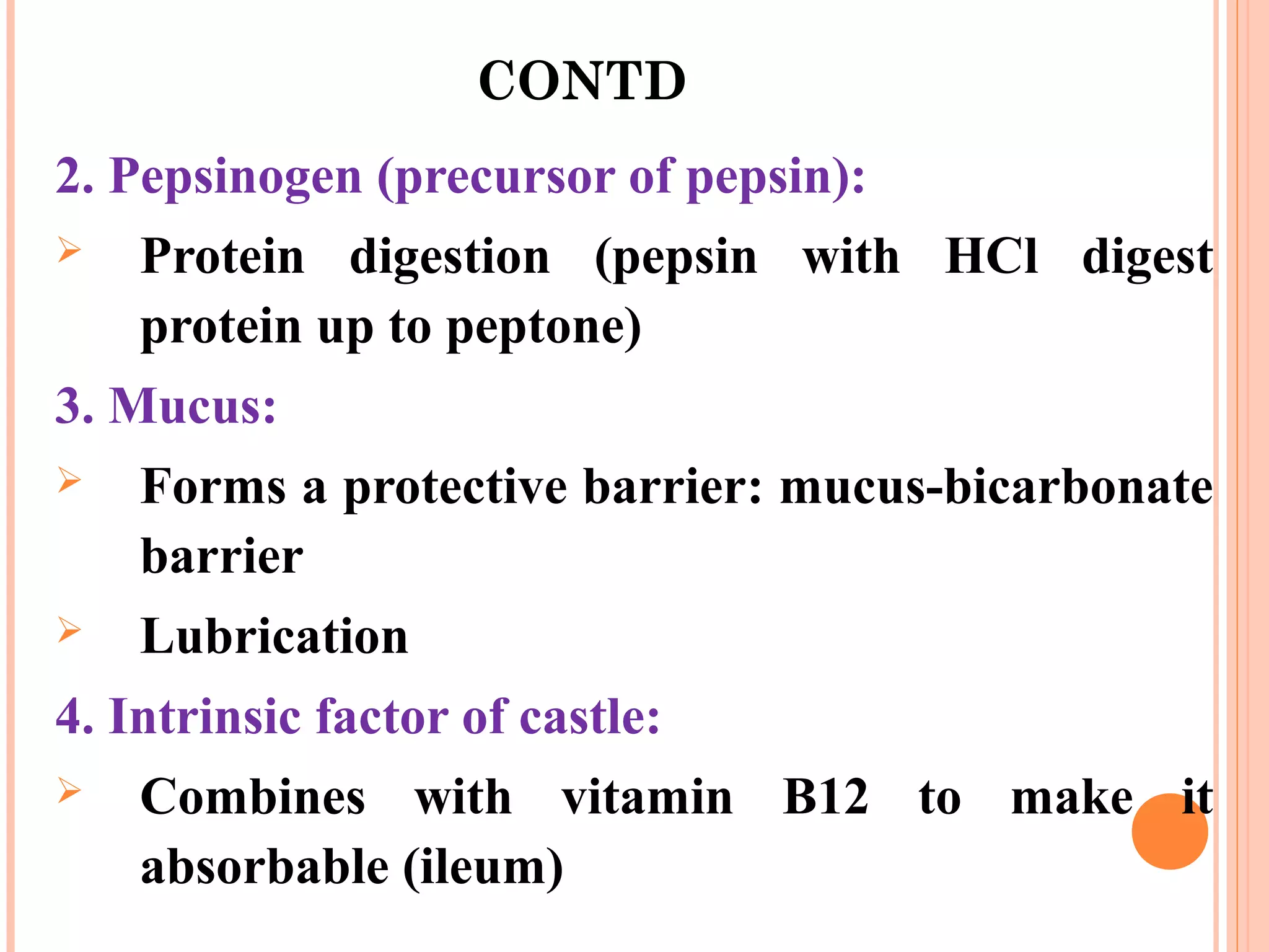 CONTD
2. Pepsinogen (precursor of pepsin):
 Protein digestion (pepsin with HCl digest
protein up to peptone)
3. Mucus:
 Forms a protective barrier: mucus-bicarbonate
barrier
 Lubrication
4. Intrinsic factor of castle:
 Combines with vitamin B12 to make it
absorbable (ileum)
 