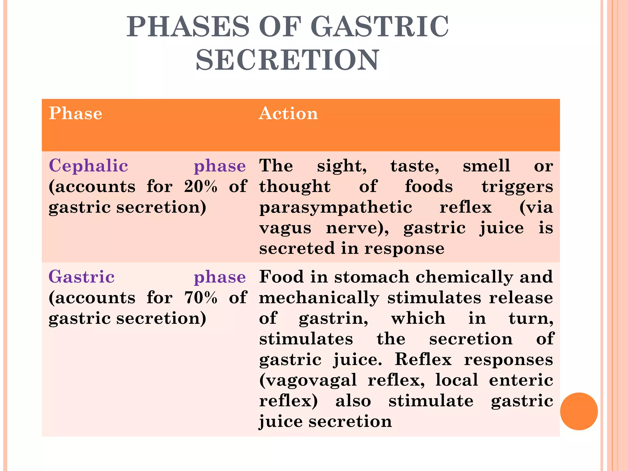 PHASES OF GASTRIC
SECRETION
Phase Action
Cephalic phase
(accounts for 20% of
gastric secretion)
The sight, taste, smell or
thought of foods triggers
parasympathetic reflex (via
vagus nerve), gastric juice is
secreted in response
Gastric phase
(accounts for 70% of
gastric secretion)
Food in stomach chemically and
mechanically stimulates release
of gastrin, which in turn,
stimulates the secretion of
gastric juice. Reflex responses
(vagovagal reflex, local enteric
reflex) also stimulate gastric
juice secretion
 