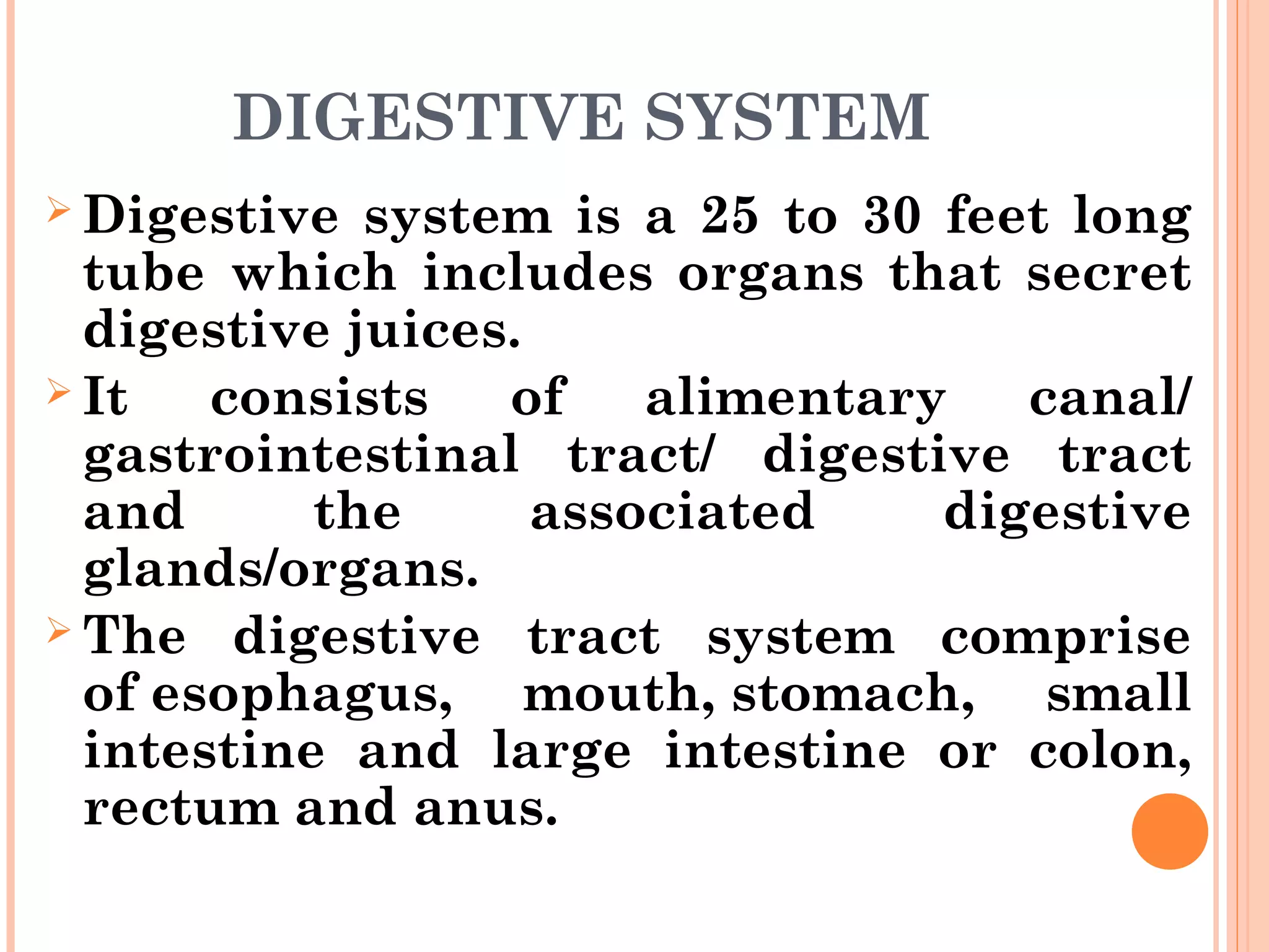 DIGESTIVE SYSTEM
 Digestive system is a 25 to 30 feet long
tube which includes organs that secret
digestive juices.
 It consists of alimentary canal/
gastrointestinal tract/ digestive tract
and the associated digestive
glands/organs.
 The digestive tract system comprise
of esophagus, mouth, stomach, small
intestine and large intestine or colon,
rectum and anus. 
 