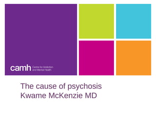 The cause of psychosis
Kwame McKenzie MD
 