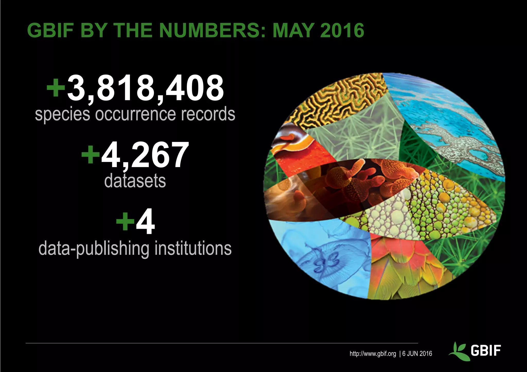 http://www.gbif.org | 6 JUN 2016
GBIF BY THE NUMBERS: MAY 2016
+3,818,408
species occurrence records
+4,267
datasets
+4
data-publishing institutions
 