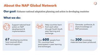 Intro to NAP Global Network and Peer Learning Forum | PDF