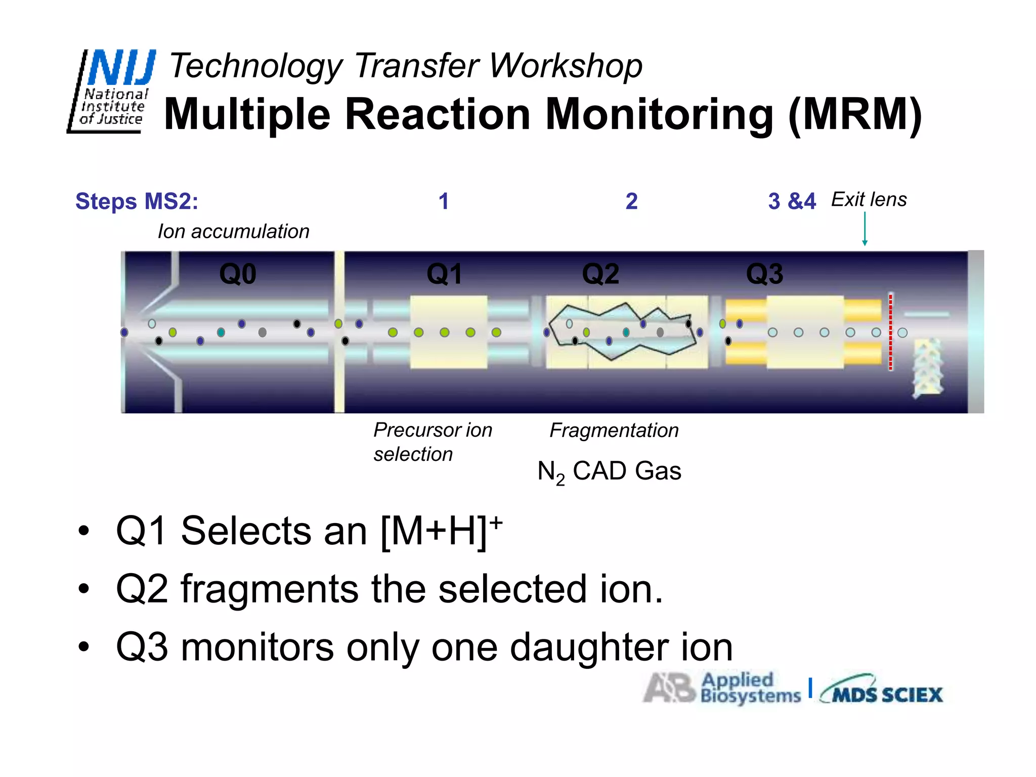 Msm Example Regulation Day 1 MSMS theory.ppt
