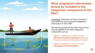 How can the NAP Process and NDC be Aligned and Why They Matter | PPTX
