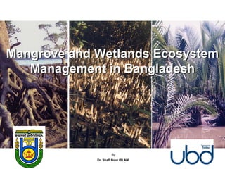 Mangrove and Wetlands EcosystemMangrove and Wetlands Ecosystem
Management in BangladeshManagement in Bangladesh
By
Dr. Shafi Noor ISLAM
 