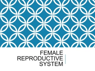 FEMALE
REPRODUCTIVE
SYSTEM
 
