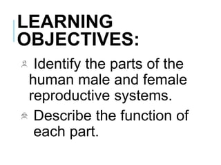 LEARNING
OBJECTIVES:
Identify the parts of the
human male and female
reproductive systems.
Describe the function of
each part.
 