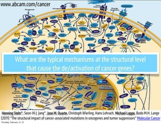 www.abcam.com/cancer




               What are the typical mechanisms at the structural level
                  that cause the de/activation of cancer genes?




 Henning Stehr*, Seon-Hi J. Jang*, Jose M. Duarte, Christoph Wierling, Hans Lehrach, Michael Lappe, Bodo M.H. Lange
(2011) "The structural impact of cancer-associated mutations in oncogenes and tumor suppressors" Molecular Cancer
Thursday, February 14, 13
 