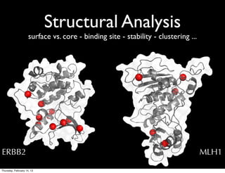 Structural Analysis
                     surface vs. core - binding site - stability - clustering ...




ERBB2                                                                               MLH1

Thursday, February 14, 13
 