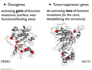 • Oncogenes                •   Tumor-suppressor genes
 activating gain-of-function   de-activating loss-of-function
 mutations (surface, near      mutations (in the core,
 functional/binding sites)     destabilising the structure)




ERBB2                                                  MLH1

Thursday, February 14, 13
 