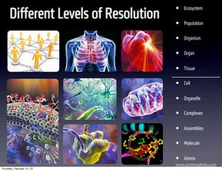 •
      Different Levels of Resolution
                                           Ecosystem

                                       •   Population

                                       •   Organism

                                       •   Organ

                                       •   Tissue

                                       •   Cell

                                       •   Organelle

                                       •   Complexes

                                       •   Assemblies

                                       •   Molecule

                                       •   Atoms
                                       www.sciencephoto.com
Thursday, February 14, 13
 