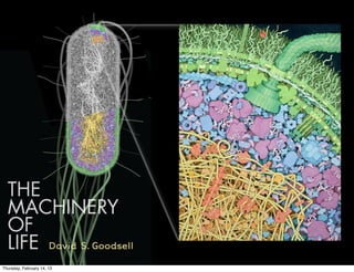 Thursday, February 14, 13
 