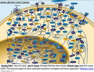 www.abcam.com/cancer




 Henning Stehr*, Seon-Hi J. Jang*, Jose M. Duarte, Christoph Wierling, Hans Lehrach, Michael Lappe, Bodo M.H. Lange
(2011) "The structural impact of cancer-associated mutations in oncogenes and tumor suppressors" Molecular Cancer
Thursday, February 14, 13
 