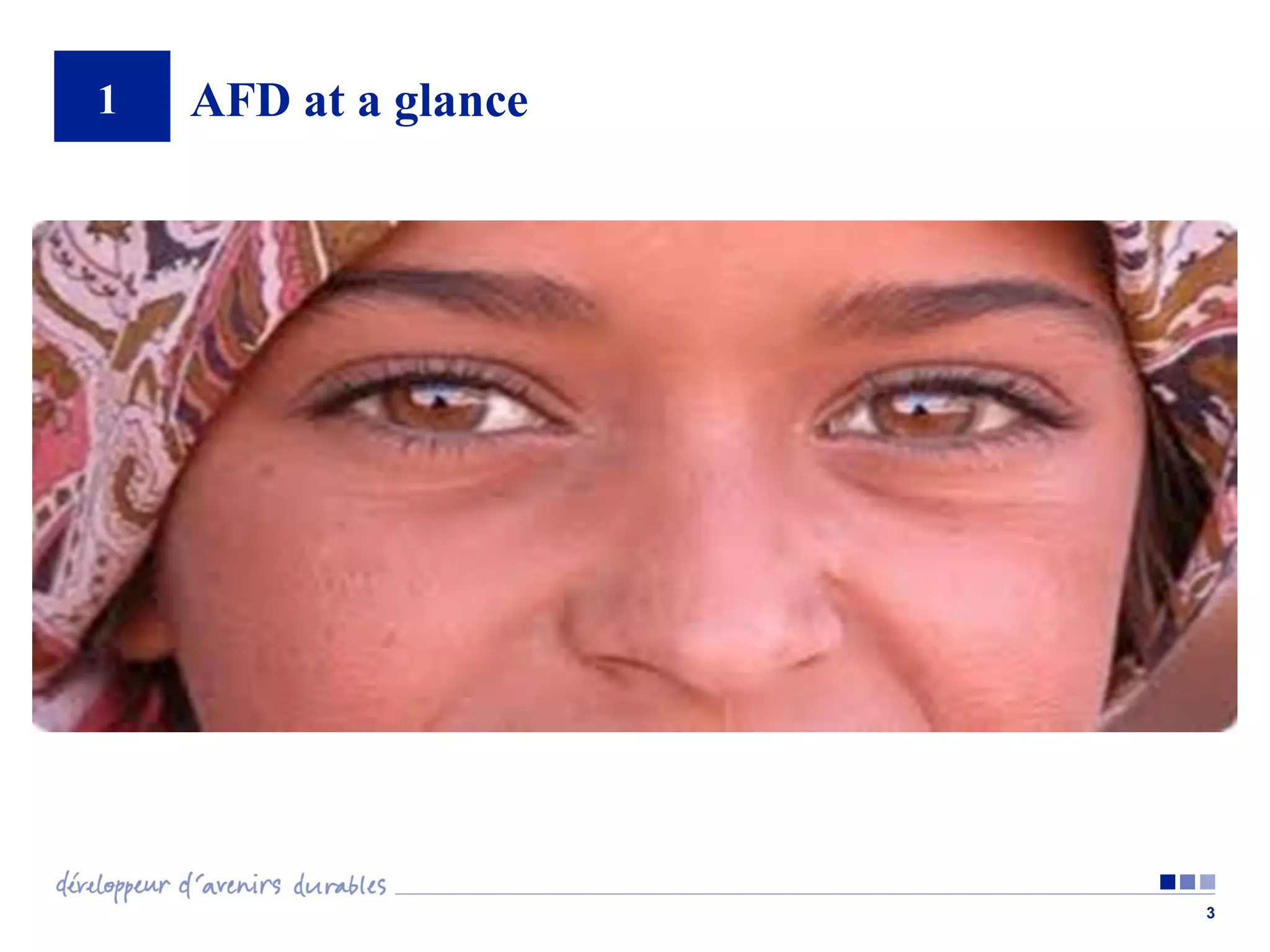 1

AFD at a glance

3

 