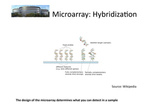 Microarray Triplication RNA-seq Analysis | PDF