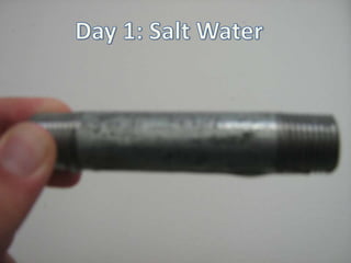 Day 1 salt