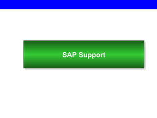 SAP Support 