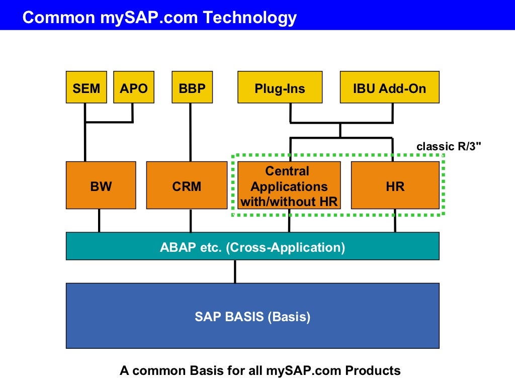 SAP Basics