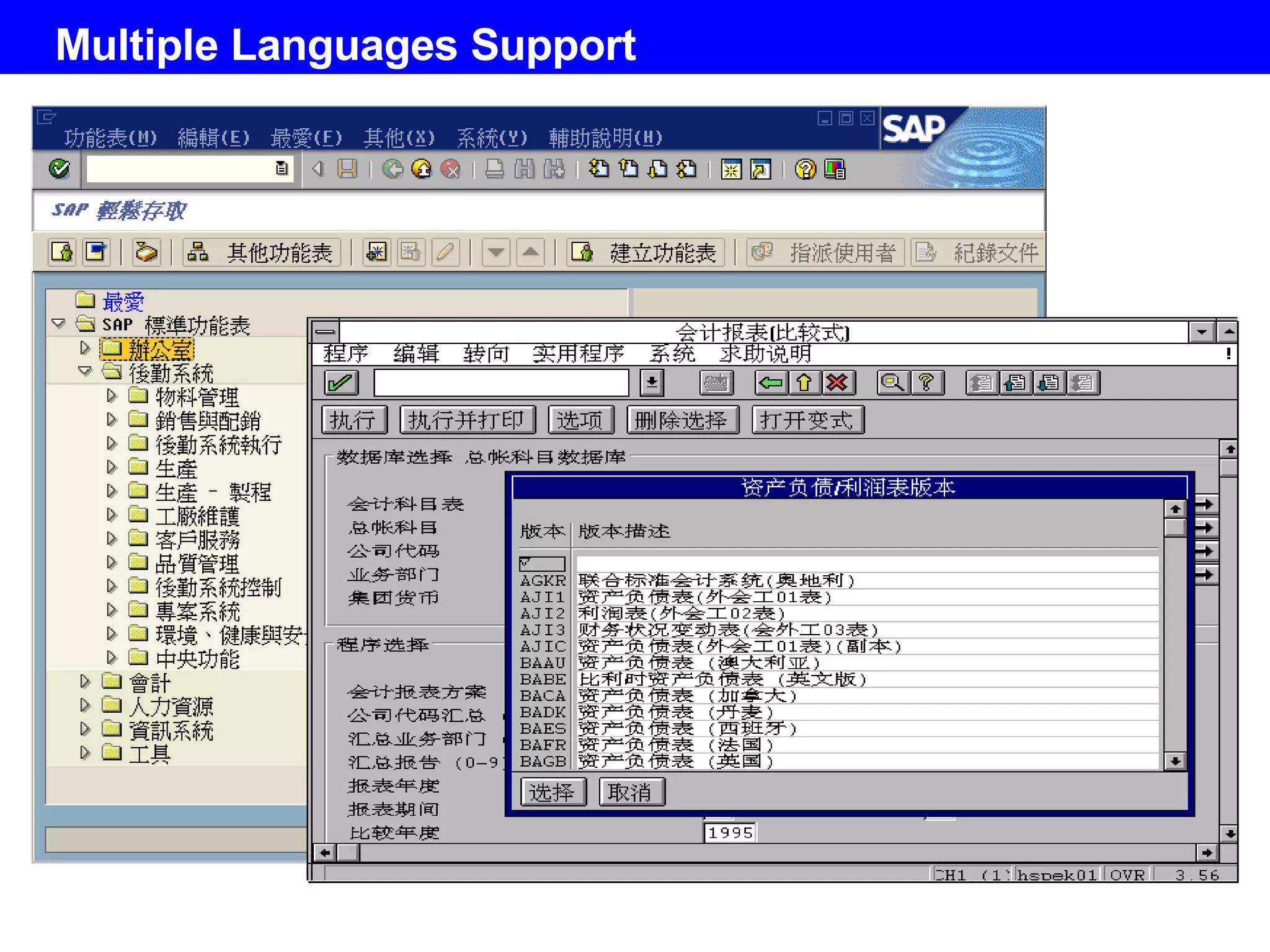 Multiple Languages Support  