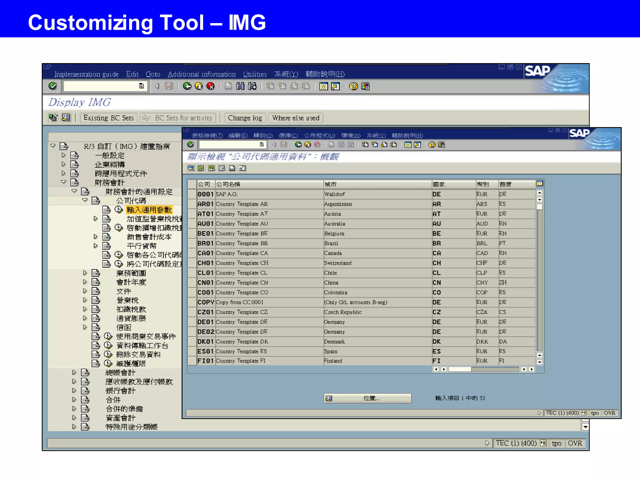 Customizing Tool – IMG 