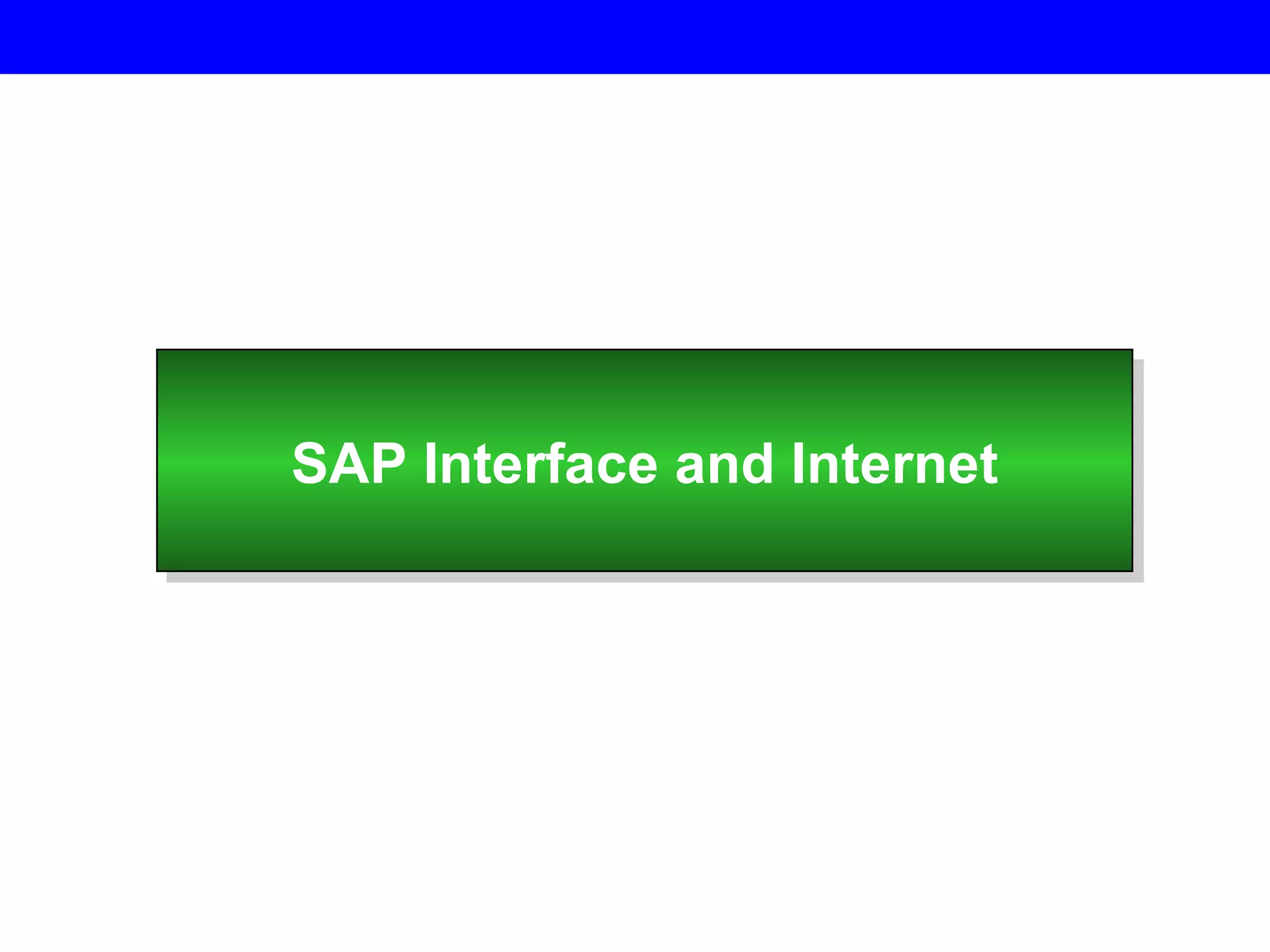 SAP Interface and Internet 