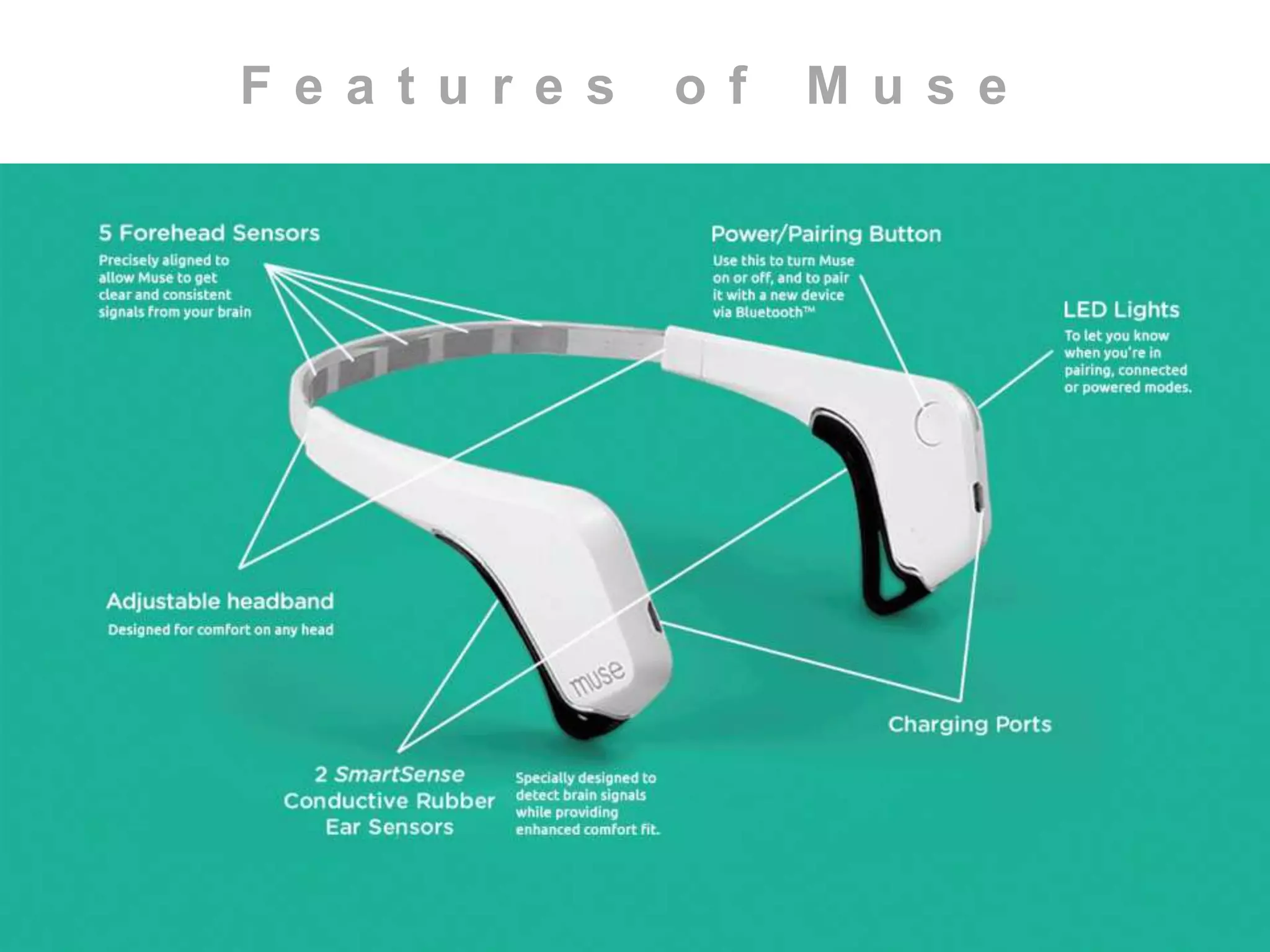 F e a t u r e s o f M u s e 
 