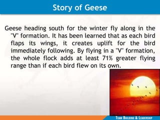 Story of Geese
Geese heading south for the winter fly along in the
"V" formation. It has been learned that as each bird
flaps its wings, it creates uplift for the bird
immediately following. By flying in a "V" formation,
the whole flock adds at least 71% greater flying
range than if each bird flew on its own.
 