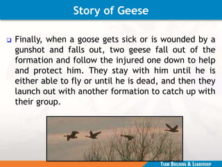 Story of Geese
 Finally, when a goose gets sick or is wounded by a
gunshot and falls out, two geese fall out of the
formation and follow the injured one down to help
and protect him. They stay with him until he is
either able to fly or until he is dead, and then they
launch out with another formation to catch up with
their group.
 