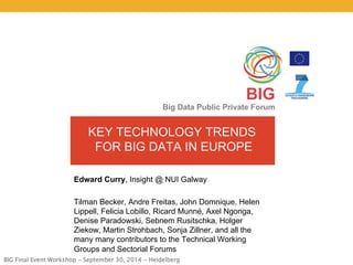 BIG Final Event Workshop - September 30, 2014 - Heidelberg 
BIG 
Big Data Public Private Forum 
KEY TECHNOLOGY TRENDS 
FOR BIG DATA IN EUROPE 
Edward Curry, Insight @ NUI Galway 
Tilman Becker, Andre Freitas, John Domnique, Helen 
Lippell, Felicia Lobillo, Ricard Munné, Axel Ngonga, 
Denise Paradowski, Sebnem Rusitschka, Holger 
Ziekow, Martin Strohbach, Sonja Zillner, and all the 
many many contributors to the Technical Working 
Groups and Sectorial Forums 
 