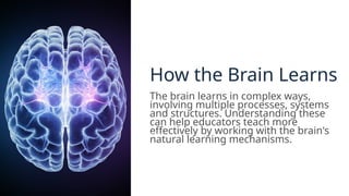 How the Brain Learns
The brain learns in complex ways,
involving multiple processes, systems
and structures. Understanding these
can help educators teach more
effectively by working with the brain's
natural learning mechanisms.
 