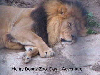 Henry Doorly Zoo: Day 1 Adventure 