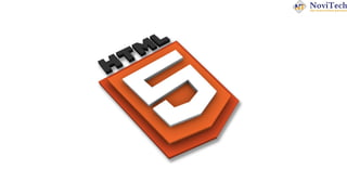 Comprehensive 30-Day Full Stack Development Challenge: HTML to E ...