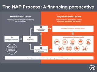 The NAP Process: A financing perspective
 