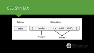 CSS SYNTAX
 