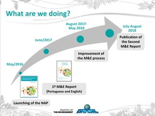 What are we doing?
May/2016
June/2017
August 2017-
May 2018 July-August
2018
Launching of the NAP
1º M&E Report
(Portugues...