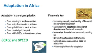 Adaptation Investment Financing in Africa: AfDB’s Approach | PPTX