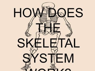 HOW DOES
THE
SKELETAL
SYSTEM
 