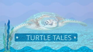 Tee Turtle Science Day 2 - Science Facts - Turtle. Dive into science | PPTX