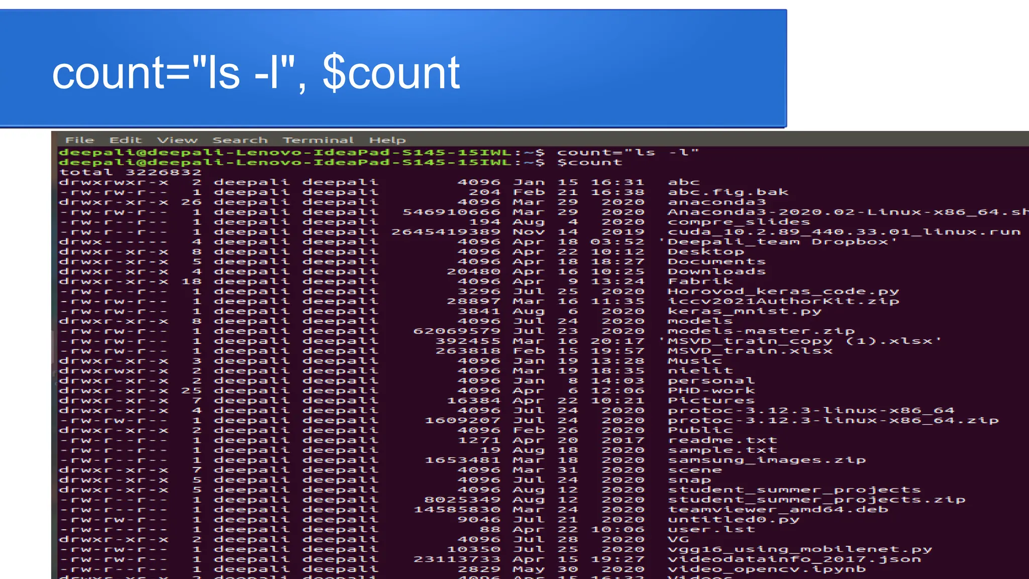 count="ls -l", $count 