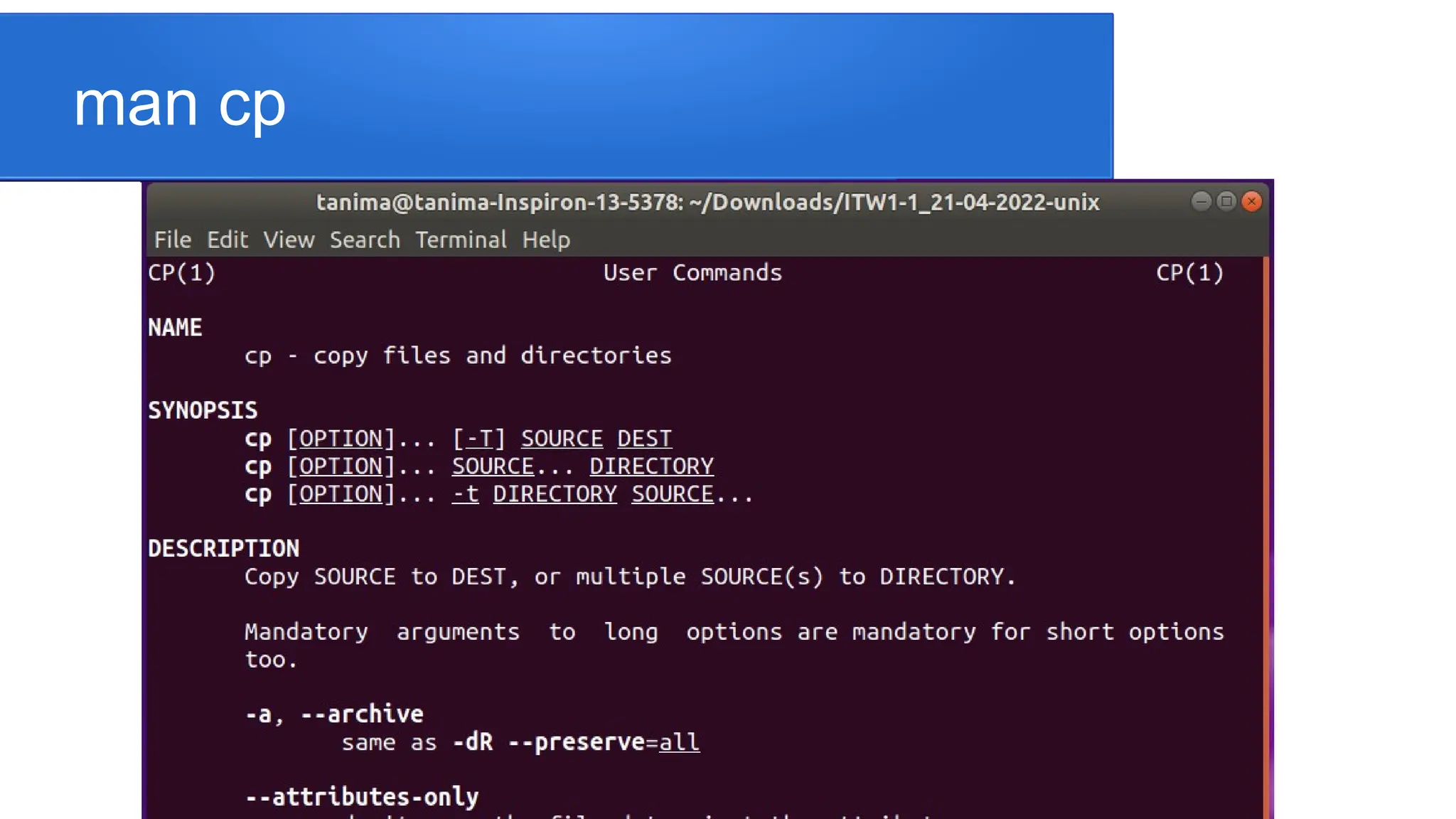 man cp 