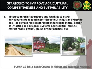 STRATEGIES TO IMPROVE AGRICULTURAL
COMPETITIVENESS AND SUSTAINABILITY
1. Improve rural infrastructure and facilities to make
agricultural production more competitive in quality and price
and be climate-resilient through enhanced technical design
of irrigation and drainage systems and facilities, farm-to-
market roads (FMRs), grains drying facilities, etc.
 