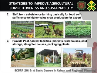 STRATEGIES TO IMPROVE AGRICULTURAL
COMPETITIVENESS AND SUSTAINABILITY
2. Shift from subsistence farming basically for food self-
sufficiency to higher value crop production for export
3. Provide Post-harvest facilities (markets, warehouses, cold
storage, slaughter houses, packaging plants.
 