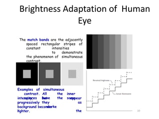 Brightness Adaptation of Human
Eye
The match bands are the adjacently
spaced rectangular stripes of
constant intensities
to demonstrate
the phenomenon of simultaneous
contrast.
Examples of simultaneous
contrast. All the inner
squares have the same
10
intensity, but
theyprogressively
darke
r
appear
as
the
background becomes
lighter.
 