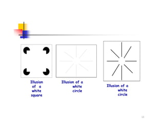 Illusion
of a
white
square
Illusion of a
white
circle
Illusion of a
white
circle
11
 